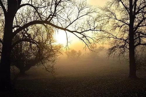 �����������˶��ܳ�Ĭ������Խ�����Խ�ࡢԽ��Ĭ����Խ�б��£�