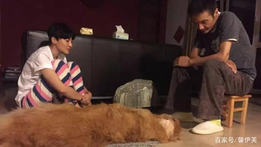 朴树和吴晓敏为什么离婚有孩子吗?朴树老婆吴晓敏出轨常夜不归宿