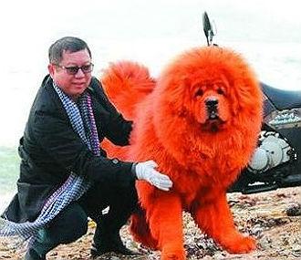 ĹʲôͼƬǮ۳ﹷһ׷