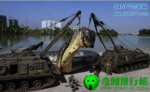 캣߱ץֳʵͼӶ̹˴ս˴445