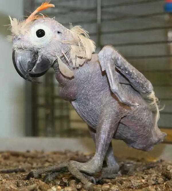 ı֢Բаëһͺó ԲҧצѪͼ