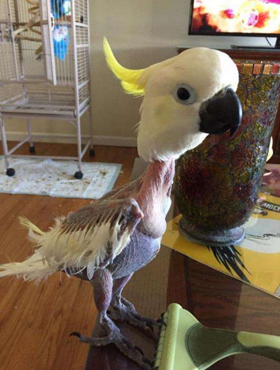 ı֢Բаëһͺó ԲҧצѪͼ