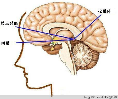 什么样的人能开天眼 快速开天眼最简单咒语方法 开天眼额头特征