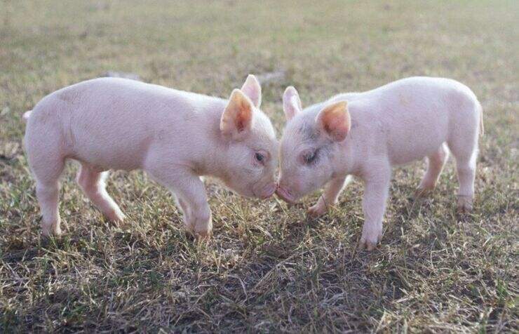 Ϊʲô̧ͷҲܻͷʲô?Ǳ̰Ե캦