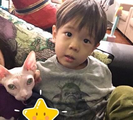 霍思燕家有多少宠物?霍思燕家的狗骆驼是什么品种几岁了真值600万