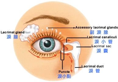 眼泪为什么是又咸又涩的?糖尿病患者的眼泪真的是甜的吗?
