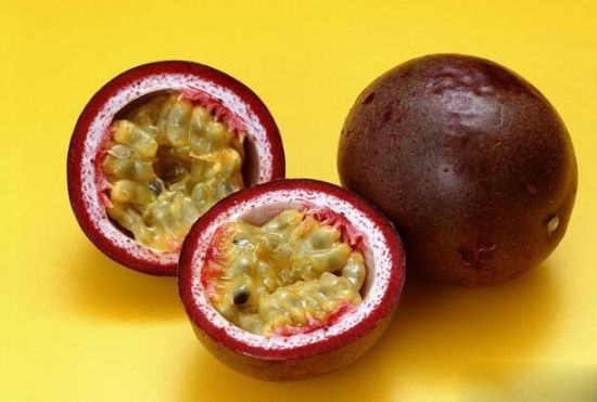 日轮花后面的蜘蛛有多大一起吃人图片 其实明明很多人爱吃日轮花