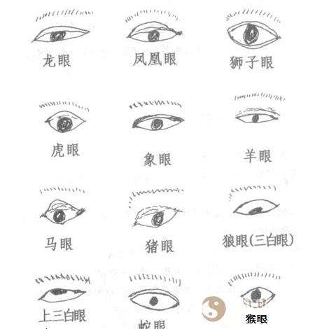 “耳大有福”“眼斜心不正”竟有这样的科学道理,看完你没法反驳