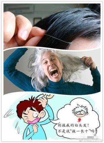 ˻һҹͷ̫ ׷һĻ᳤ʮϹ