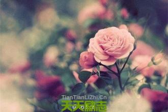 η ȥʵǶԼһֲ