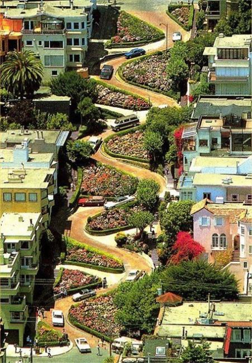 全球最弯曲的街道--伦巴第街形似大肠 是时候展现一波漂移特级了