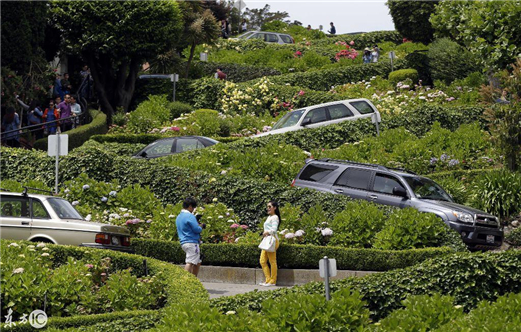 全球最弯曲的街道--伦巴第街形似大肠 是时候展现一波漂移特级了