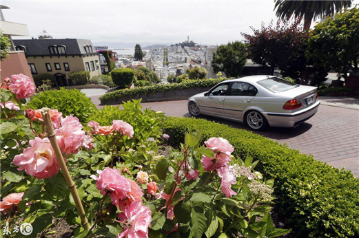 全球最弯曲的街道--伦巴第街形似大肠 是时候展现一波漂移特级了