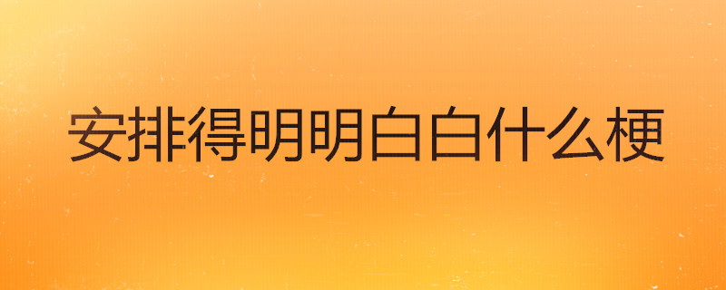 安排得明明白白什么梗
